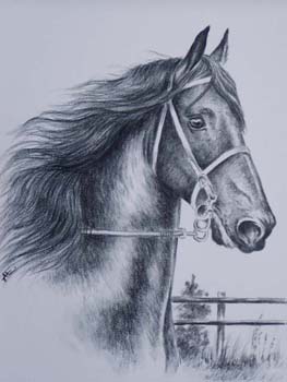 kreslený kůň.jpg